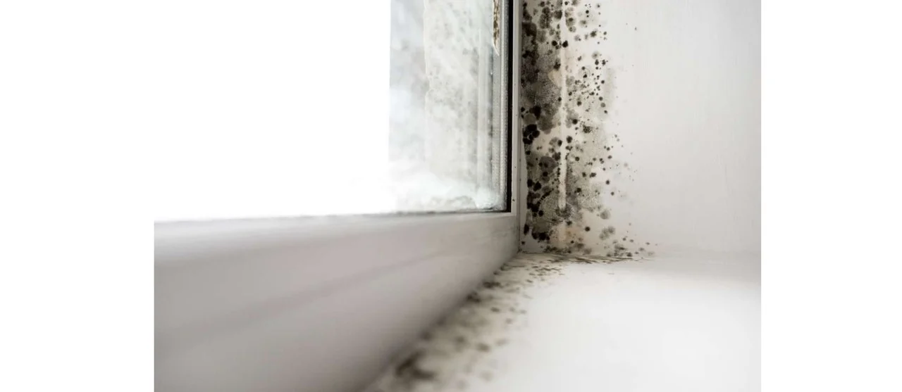 badluefter-schimmel-bad