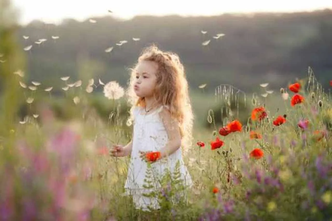 lueftungstechnik-luft