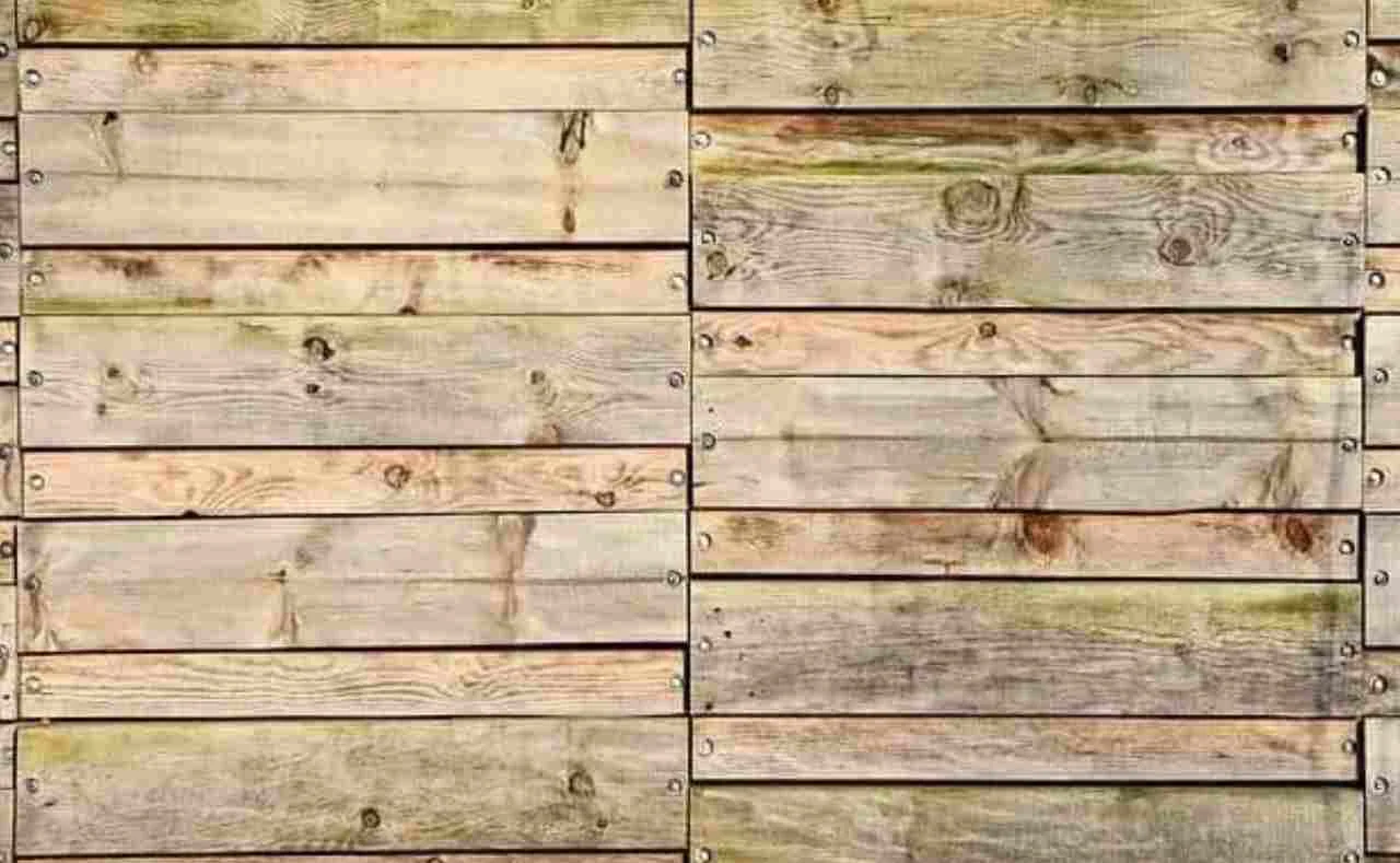 gesundheit-feuchteschaeden