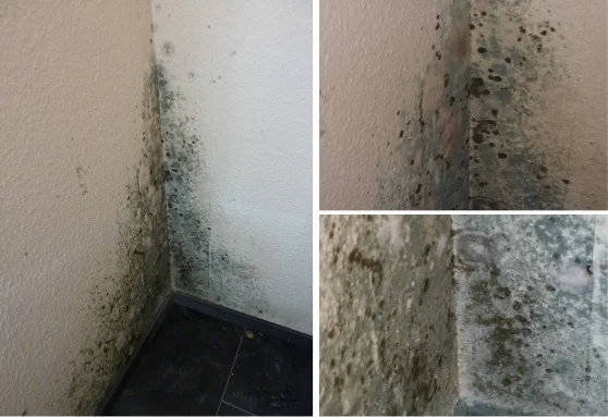 passivhaus-lueftung-schimmel