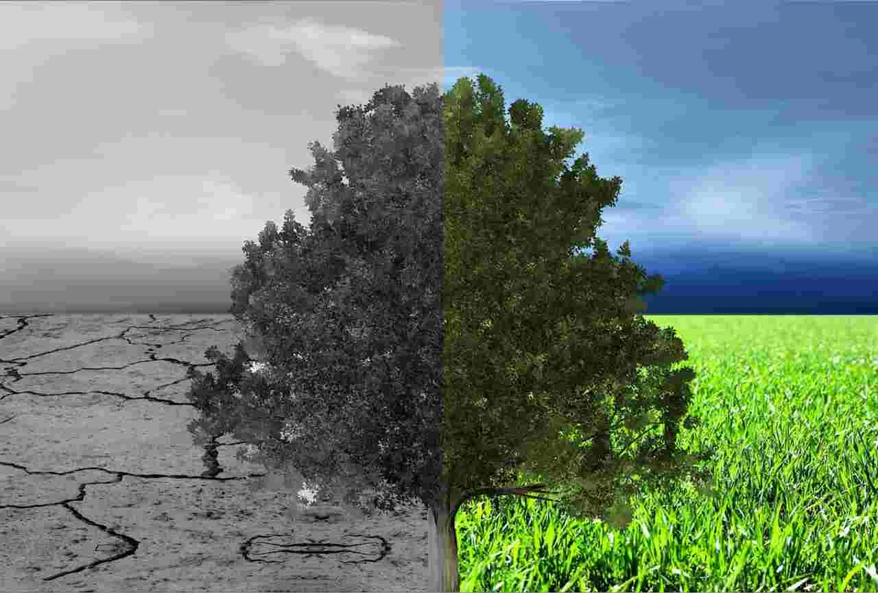 gesundheit-luftverschmutzung